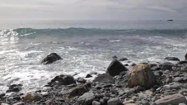 加利福尼亚冬季海滩 有海浪和泡沫 — 图库视频影像