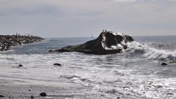 Winter Californische Strand Met Oceaan Golven Schuim — Stockvideo