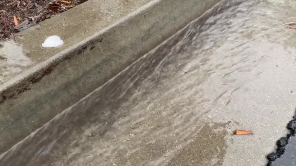 Heftiger Regen Einer Kalifornischen Kleinstadt Winter — Stockvideo