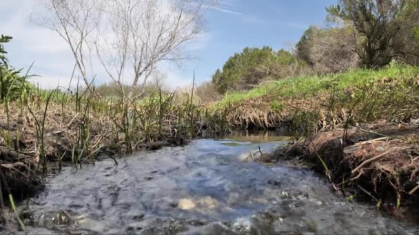Petit Ruisseau Dans Les Collines Printanières Californie Sud — Video