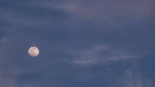Dubnový Měsíc Večerní Obloze Jižní Kalifornie — Stock video