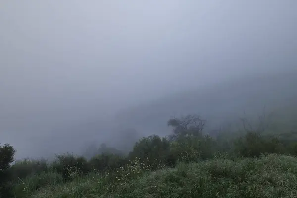 California hills in the fog