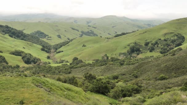 Γραφικοί Πράσινοι Λόφοι Της Καλιφόρνια — Αρχείο Βίντεο