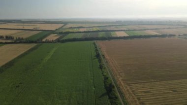 Güney Ukrayna 'nın tipik tarım arazisi (Farmland) yukarıdan. Video çekimi 2019.