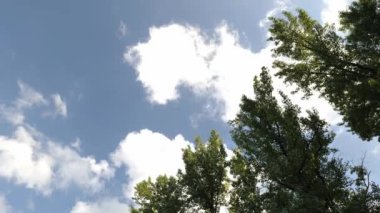 Mavi gökyüzünde akan bulutlar. Zaman aşımı.