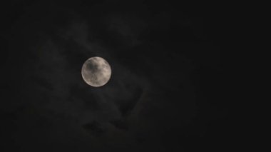 Gece gökyüzünde Eylül Dolunayı. Gece Ay, Cadılar Bayramı 'nın sembollerinden biridir..