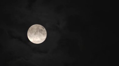 Gece gökyüzünde Eylül Dolunayı. Gece Ay, Cadılar Bayramı 'nın sembollerinden biridir..