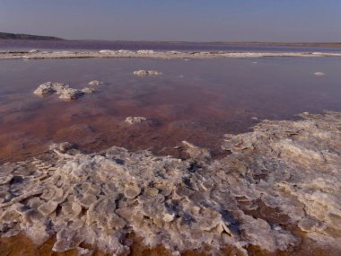 Güney Ukrayna 'nın yaz ve sonbaharda kuruyan doğal rezervlerinde tuz kristalizasyonu