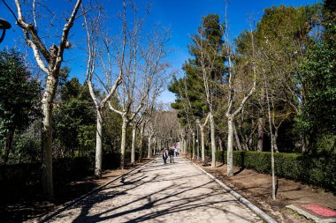 15 Mart 2023. Madrid, İspanya. Mart ayında açan badem ağaçlarıyla dolu olan Quinta de los Molinos de Madrid Parkı.