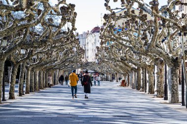 Burgos, İspanya. 20 Ocak 2024. Burgos şehrindeki Paseo de El Espolon, açık bir kış gününde ağaçlar yapraksız ve insanlar soğukta yürüyor..