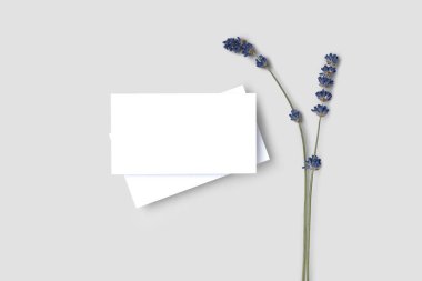 Bir kesit, indirim, gri minimalizm arka planında bir kartvizit ve fotokopi alanı olan lavanta çiçekleri. Tasarım şablonu