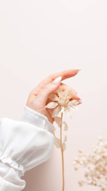 Beyaz jel cilası ve kurumuş çiçek desenli kadın ellerinin bahar manikürü. Dişi eller, bej arka planda beyazlatılmış kurumuş safran çiçekleri tutar..