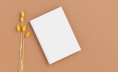 Kahverengi, koyu bej arka planda kurumuş falaris çiçeği üzerine beyaz bir cilt kapağı modeli. Tasarımınız ve reklamınız için minimalist bir şablon. Düz yatıyordu