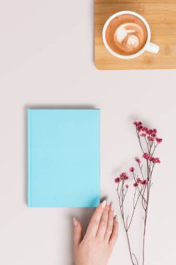 Kahveli ve kurutulmuş çikila çiçekli bej kapaklı mavi bir cilt kapağı. İskandinav ya da wabi sabi stilinde dizayn ve reklamınız için boş şablon yatıyordu