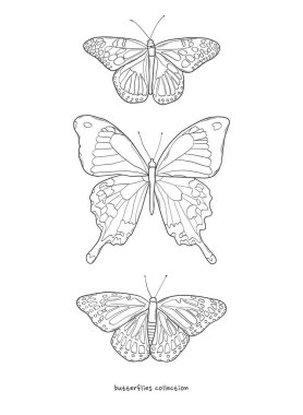 Kelebek posteri, kart, baskı, süblimleşme tasarımı, beyaz arka planda tek renkli kelebek koleksiyonu. Çıkartmalar, boyama sayfaları vs. için iyi. EPS 10