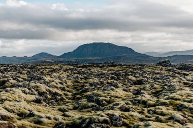 Kayalarla ve dağlarla kaplı bir yosun tarlası.