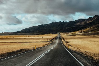 Çölün ortasında, arkasında dağlar olan bir yol.