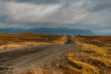Tabela ve çöreklerle dolu bir masa.