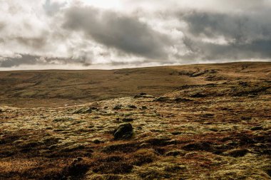 Tabela ve çöreklerle dolu bir masa.