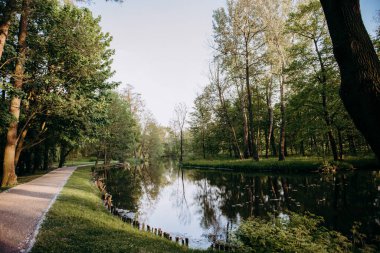 Bir su kütlesinin yanındaki patika.