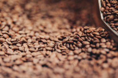 Bir kahve çekirdeği yığını masanın üstünde oturuyor.