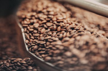 Kahve çekirdeği dolu bir kepçe.