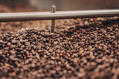 Taşıyıcı bantta kahve çekirdeği yığını.