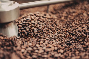 Kahve öğütücüsü kahve çekirdekleri ile doludur.