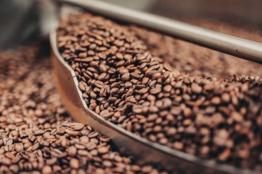 Kahve çekirdeği dolu bir kepçe.