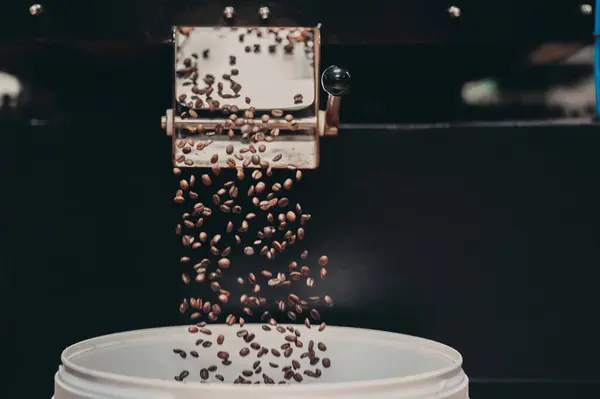 Bir kova kahve çekirdeği makineye dökülüyor.