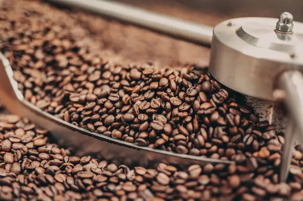 Kahve öğütücüsü kahve çekirdekleri ile doludur.