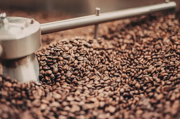 Kahve öğütücüsü kahve çekirdekleri ile doludur.