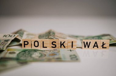 Tahta bloklu Czech Cumhuriyeti para birimi