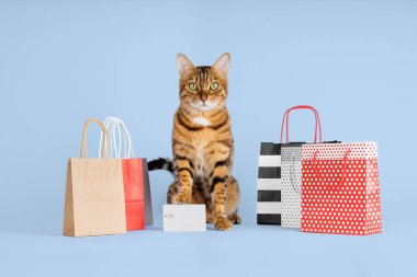 Alışveriş torbalı kedi indirim ve satışa hazır, mavi arka planda izole edilmiş.