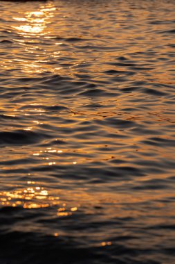 Ripple sea ocean water surface with golden sunset light. Sea waves close up
