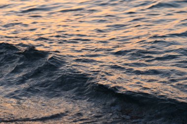 Sea wave splashes close up. Ripple sea ocean water surface with golden sunset light.