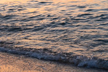 Sea wave splashes close up. Ripple sea ocean water surface with golden sunset light.