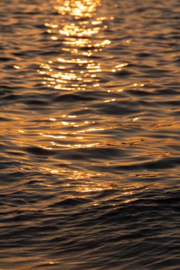 Ripple sea ocean water surface with golden sunset light. Sea waves close up