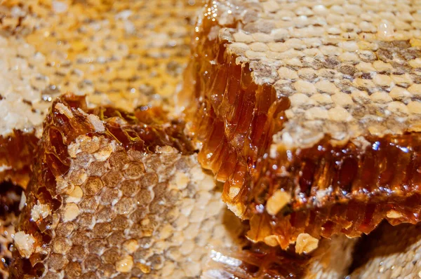 Gold Honey Honeycomb Closeup Bee Products Fresh Honeycomb Honey Products — Stock Photo, Image