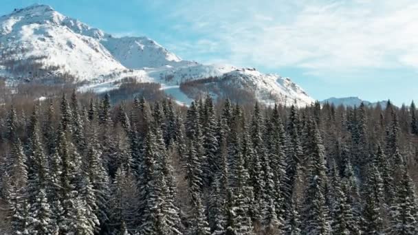 美丽的冬季仙境山景的空中风景 背景雪峰的高山冬季森林 12月的风景 无人驾驶视频 — 图库视频影像
