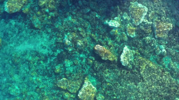 リグリア海の海岸 透明浅いターコイズブルーの水の広い空撮 ドローンからの空中ビュー リグーリア州海岸 サヴォーナ県 イタリア — ストック写真