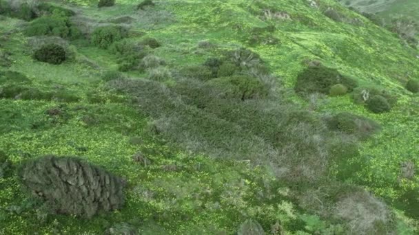 Widok Lotu Ptaka Lasy Zielony Krajobraz Portugalii Widok Góry — Wideo stockowe