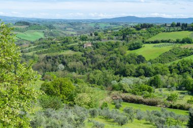 Toscana 'nın panoramik ve güzel kırsal manzarası. İtalya 'da yeşil tarlalar ve çayırlar.
