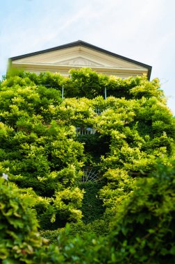 Bina yemyeşil yapraklarla kaplı, çatısında doğal bir manzara yaratıyor.