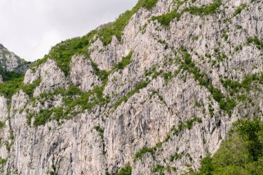 Yeşil bitki örtüsüyle kayalık dağ manzarasını kapat