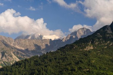 Mavi gökyüzüne karşı kısmen örtülmüş ve yemyeşil orman, dağlık doğa üzerinde yükselen kar kaplı dağ zirvelerinin çarpıcı manzarası. Tonale Geçidi, İtalya. Yaz manzarası. Dolomit Alpleri