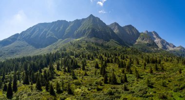 Bereketli yeşilliklerle kaplı, açık mavi gökyüzünün altında yoğun bir çam ormanı bulunan yüksek bir dağ sırasının nefes kesici panoramik görüntüsü.