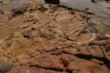 Küçük gelgit havuzları ve karmaşık doğal desenler içeren aşınmış kıyı kayalarının yakın çekimi. Sahne, kıyı şeridinin jeolojik güzelliğini vurgular.