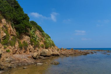 Yeşil ve kaktüslerle kaplı manzaralı bir sahil kenarı, parlak mavi gökyüzünün altında sakin ve berrak bir denizle nazikçe buluşuyor. Huzurlu ve resimli bir sahil ortamı