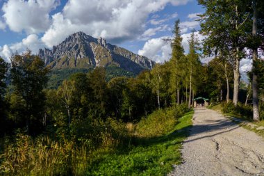 Çakıl yolu uzun ağaçlarla kaplı ormana doğru esiyor, Belvedere del Parco Valentino yakınlarındaki Grignetta dağı Piani Resinelli, Valsassina, İtalya, Lecco bölgesinin hava manzarası.